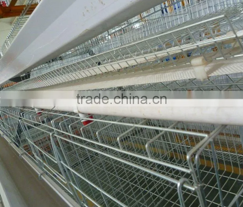 poultry farm layer cage(3 tiers)