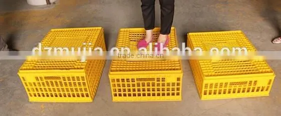 Chicken cage for Live chicken transportation /Transfer Plastic chicken transport basket /Crate