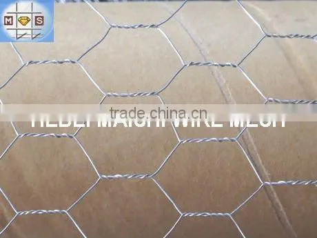 2-1/2" hot dipped galvanized hexagonal wire netting 2-1/2 inch 40mm*40mm