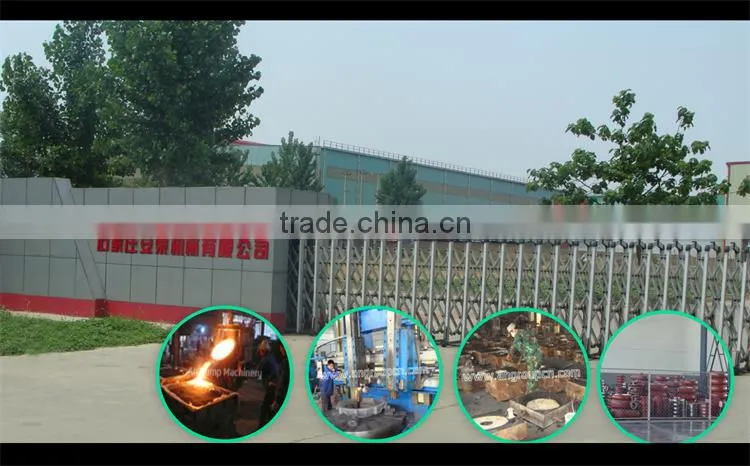 Multi stage high pressure feed water pump
