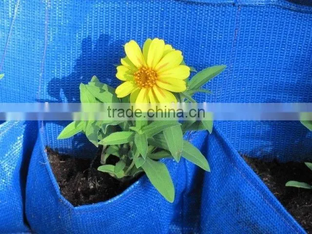 Garden Wall Planter,Vertical Hanging Pockets,Hanging Plant Bags,20 pockets