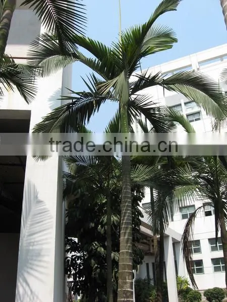 artificial palm tree indoor decoration house /hotel plastic palm tree canada
