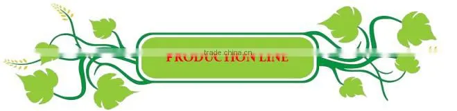 B665 Varnish Sprayed Treatment Agricultural Tools&Garden Tools Iron Ball Peen Hammer