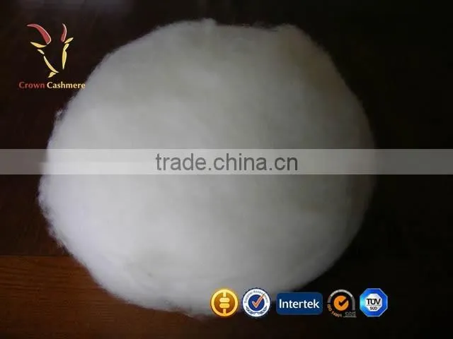 Gold kashmere W ool Finest Cashmere origin in the world