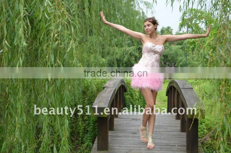 Astergarden Real Photo Pink Beading Short Strapless Feather Dress AS140