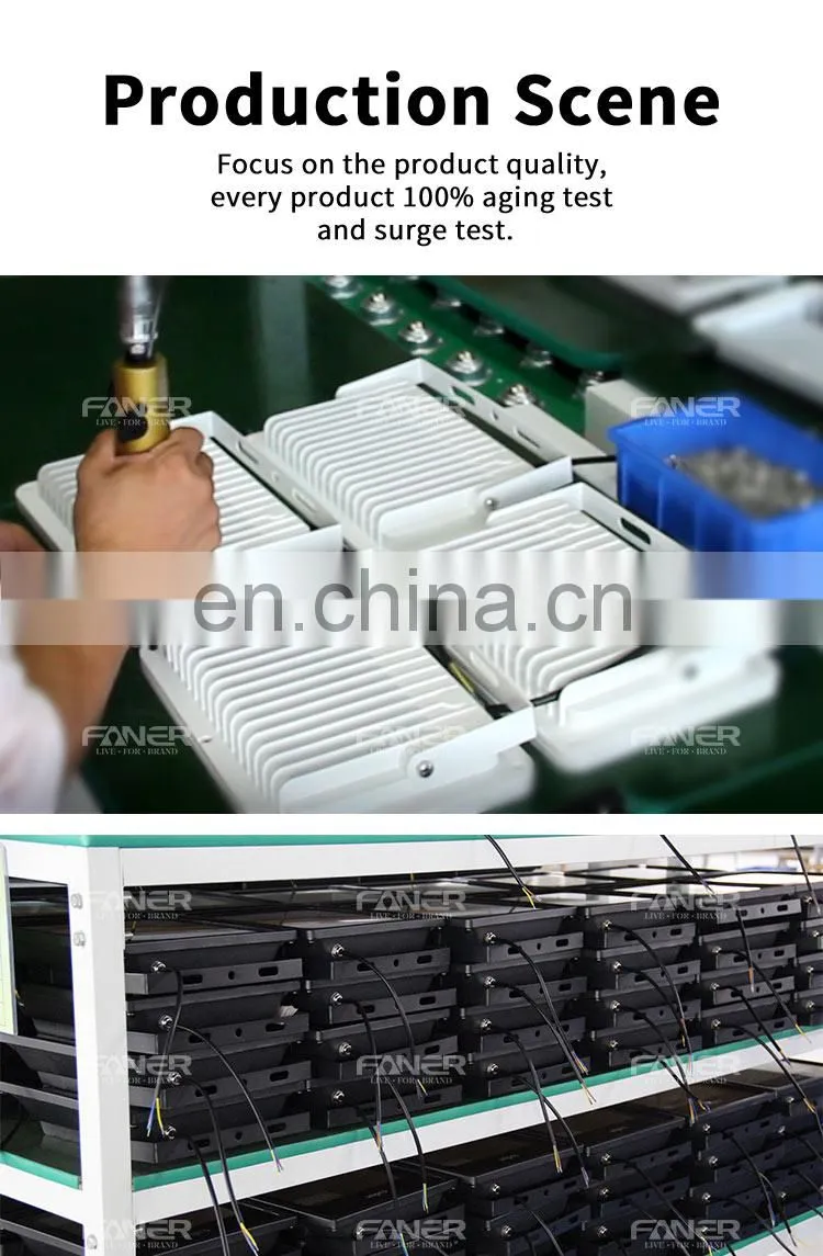 Faner BIS certification high quality new design IP66 10W 20W 30W 50W 100W 150W 200W LED flood light