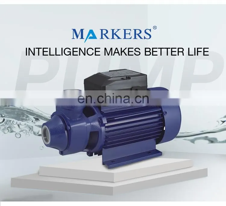 China bomba de agua de larga distancia qb60 qb80 water pump
