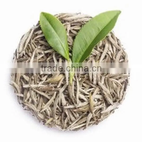 China tasty and healthy loose leaf white tea , white silver needle