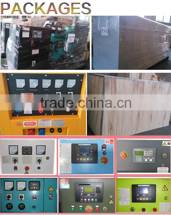 low price generator with beinei engine