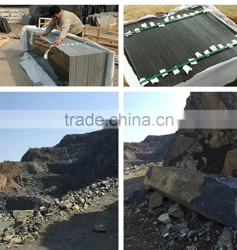 Chinese Basalt Stone,G684 Basalt Tile, Honed Basalt