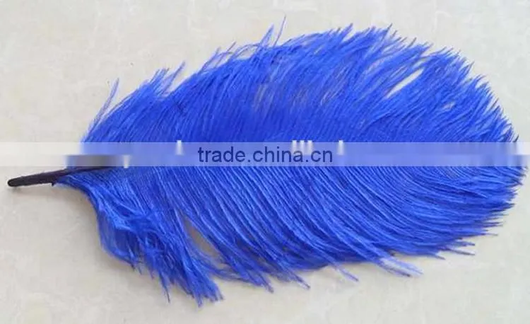High Quality Real Natural Ostrich Feathers, decorative feathers wholesale
