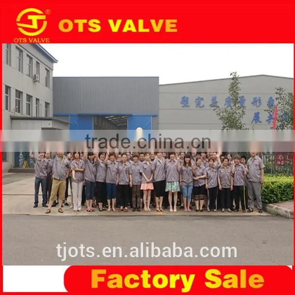 BV-DS024 API/CE/DIN/KS/JIS Desulfuration Electric Butterfly Valve