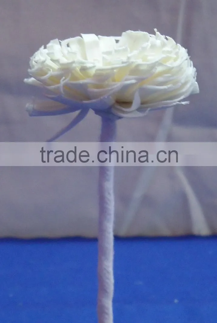 Home decoration sola flower
