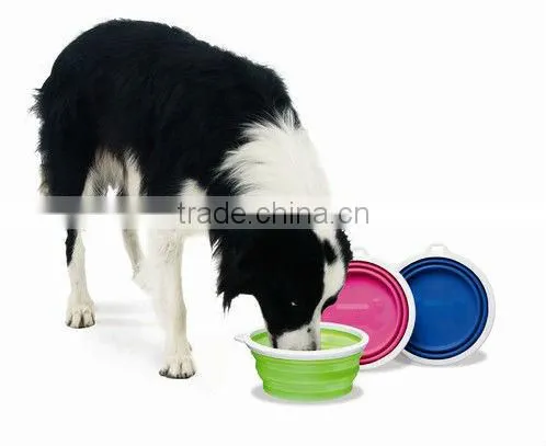 Foldable Silicone Pet Travel Bowl with Lid
