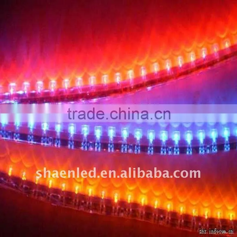 Hottest Strip LED Strip light