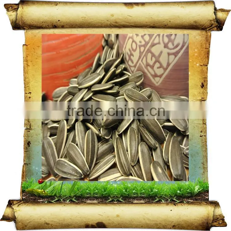 Sunflower Seeds for Oil 5009 3939 health product china
