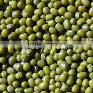 kidney beans