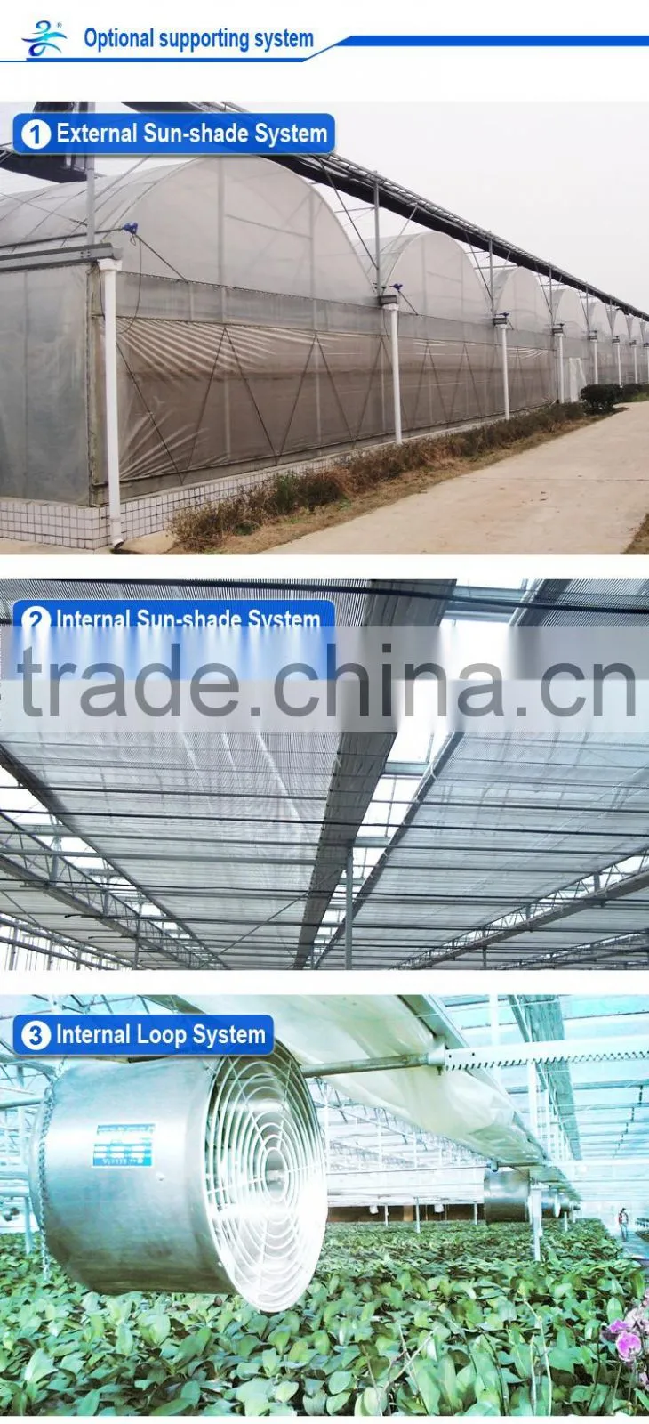 Horticultural Glass Greenhouse multi-span glass greenhouse