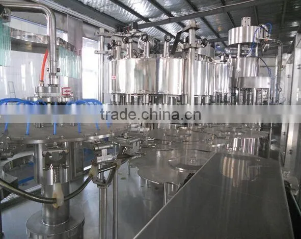 Automatic Bottle Juice Filling Equipment / Fruit Juice Making Machine