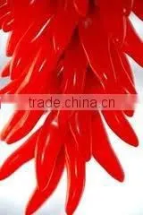 Oleoresin Capsicum