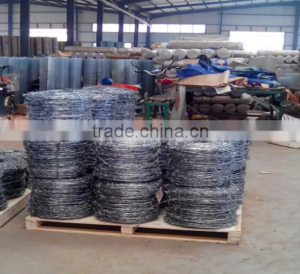 hot-dipped /electric barbed wire /Anping professional factory