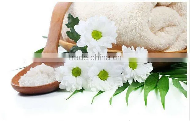 Konjac sponge wholesale