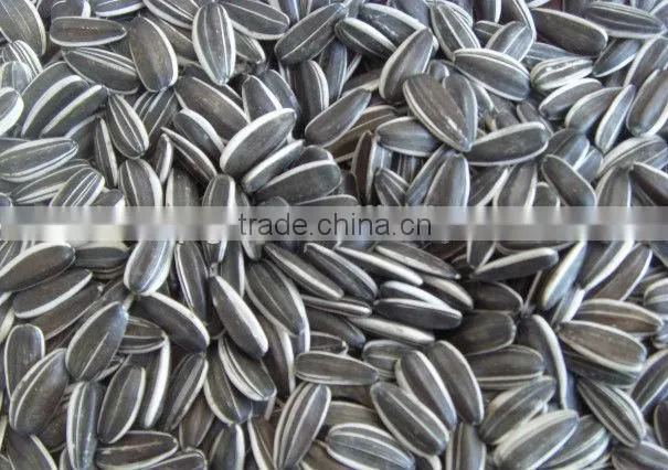 sunflower seeds 0409 market price