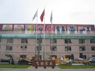 Guangdong Feiyang Industry Group Co., Ltd. company overview - view 1