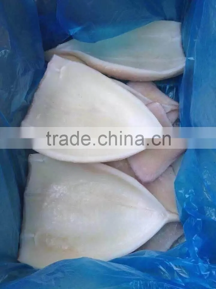 2016 Newly catch fresh high quality squid fillets from China