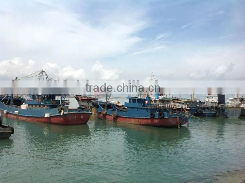 Frozen whole round horse mackerel 20cm from China supplier