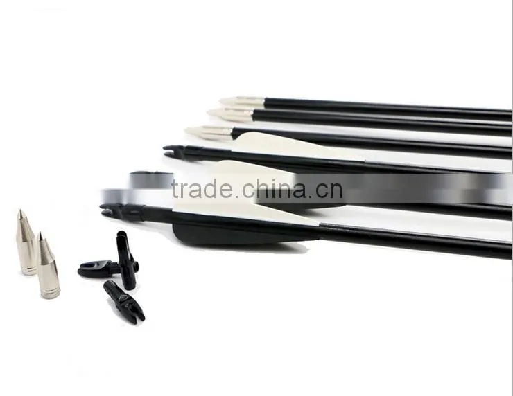 Archery 31 Inches Steel Point Glass Fiber Arrow