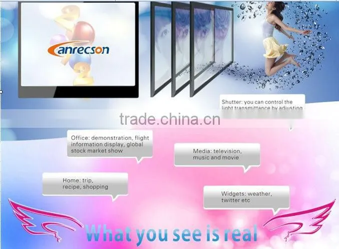 22" Transparent lcd