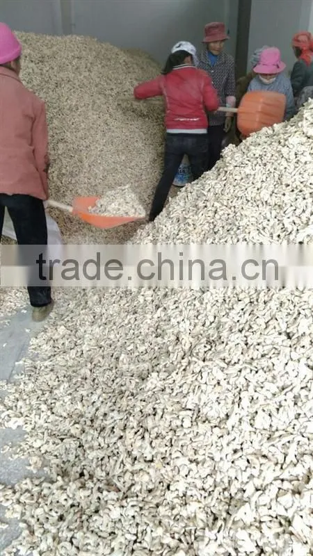 Wholesale Grade A Dried Ginger Powder