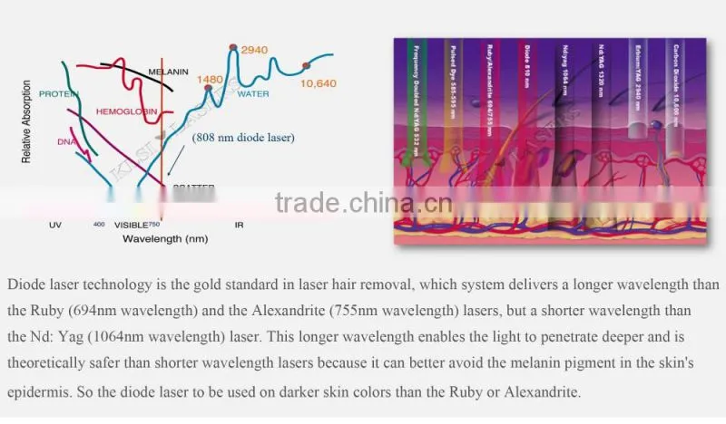 High Quality hair removal Depilation Diode Laser / Bikini Diode Laser