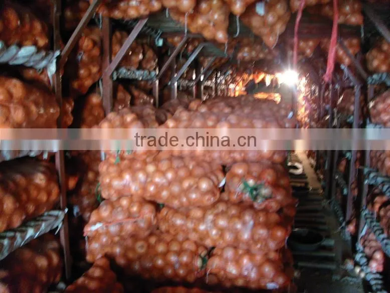 New Red Onion Yellow Onion Wholesale Price