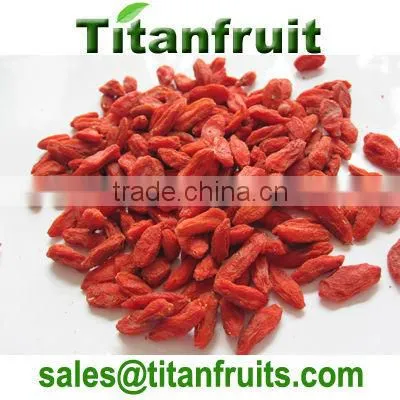 dried zhongning goji berry ,chinese best red goji berry 2013 crop