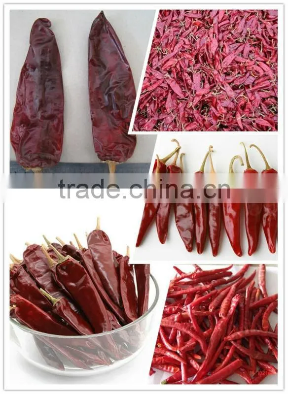 Dried chili powder/paprika powder
