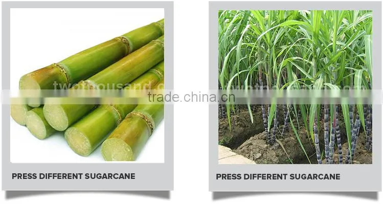 Hot Sale Commercial Used Automatic Sugarcane Juice Machine From Twothousand Company