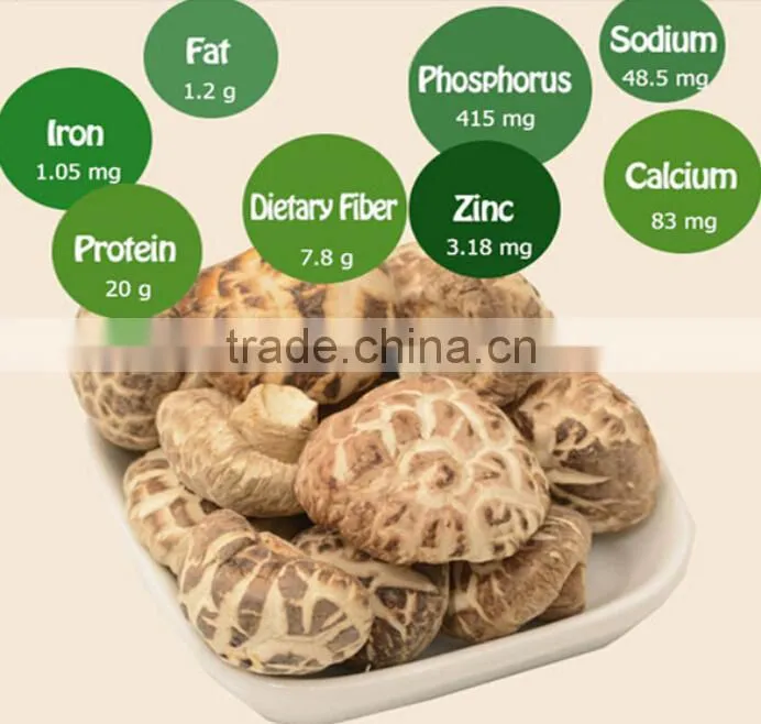 high quality mushroom /dry shiitake mushroom