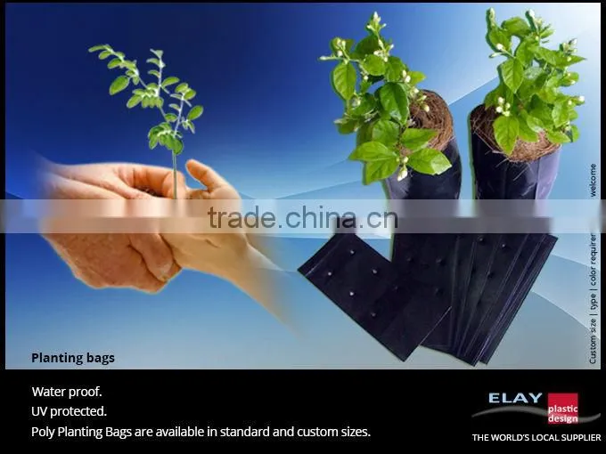 Planting pot