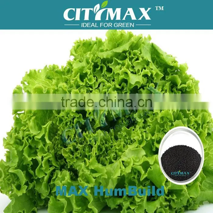 60% Humic Acid For Vegetables Fertilizer