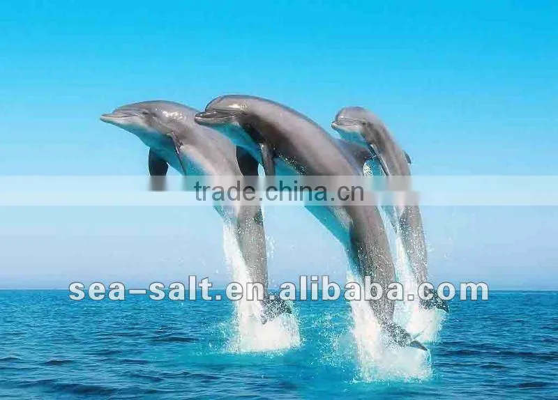 Marine Aquaculture Sea Salt For Guppy Fish And Arowana Fish