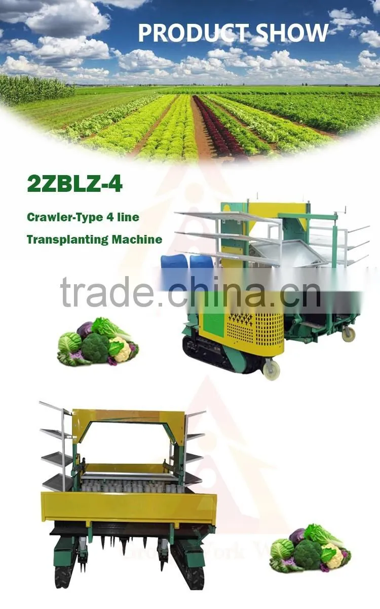 Chinese vegetable transplanter
