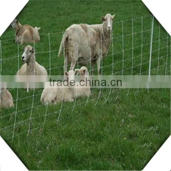 high zinc coated galvanized field fence for sale / galvanized sheep fence for sale