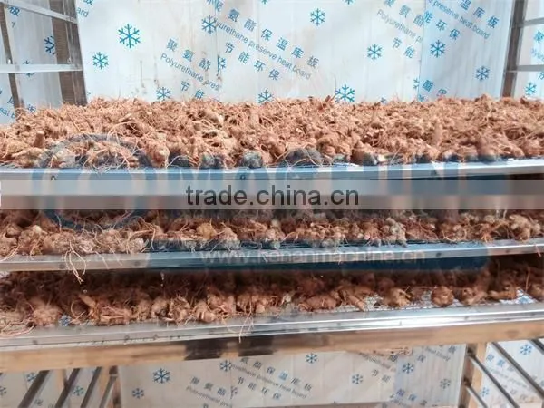 2016 promotion corn drying machine with tainless steel for meat tea and chili drying