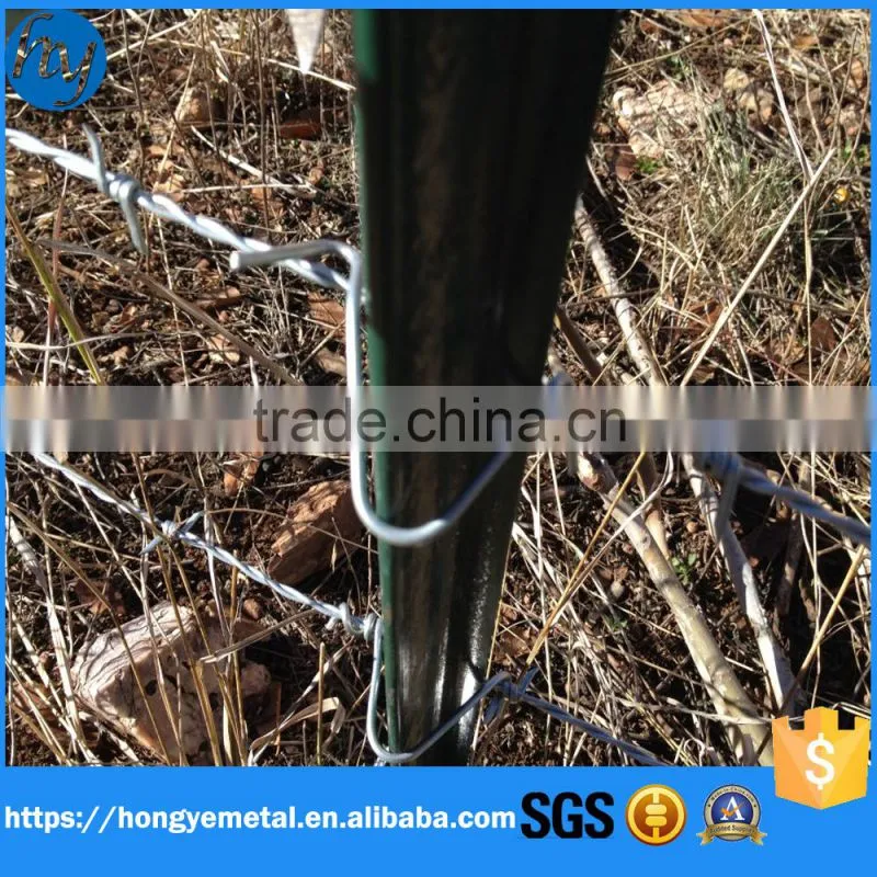 Hot dipped Galvanized Steel Fence T Post Exported To US