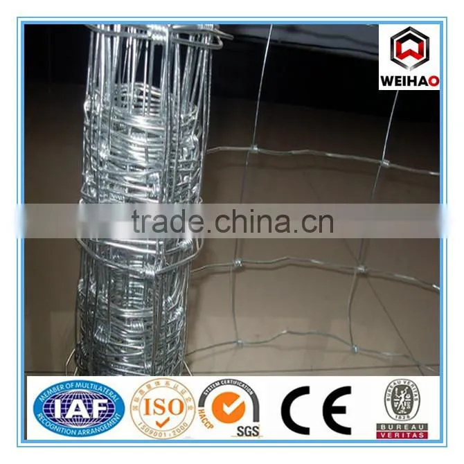 High Quality Galvanized Calf Cattle Fence