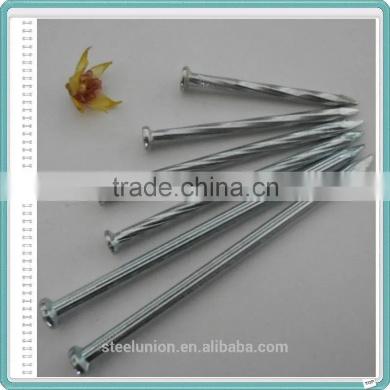 Galvanized Concrete Nails/Stainless Steel Concrete Nail Cheap Price
