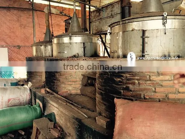 Vietnamese Agarwood Essential Oil - High quality - No chemical added for those who want stable supply