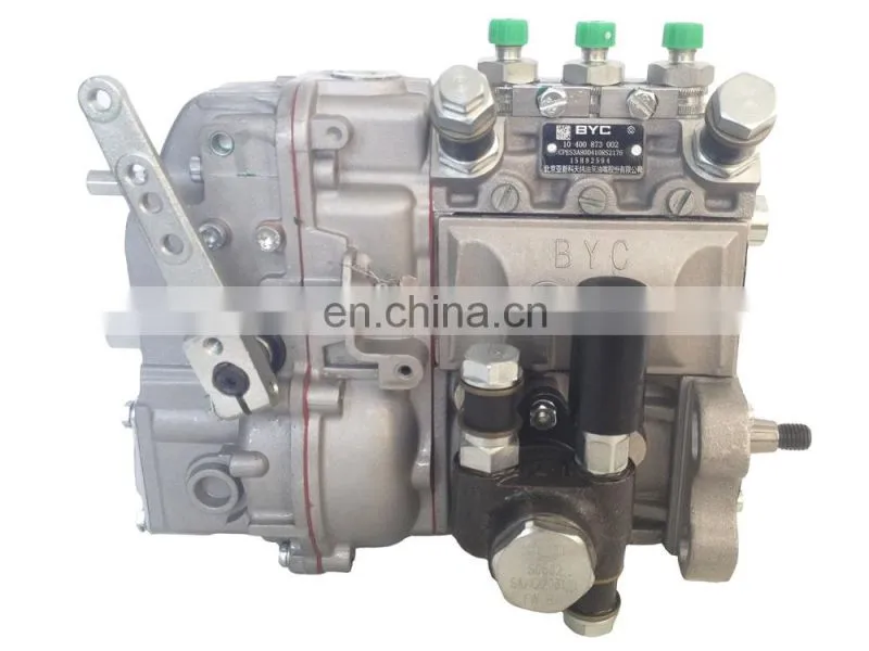 BYC Injection Pump 02232387 0223 2387 for Bei Nei Deutz Engine